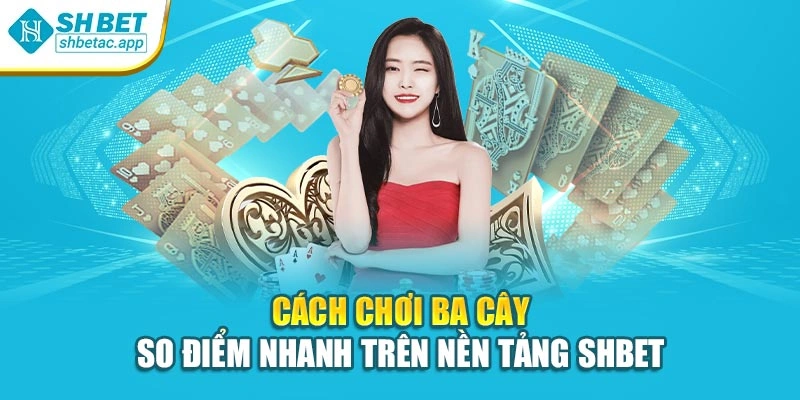 Cách Chơi Ba Cây – So Điểm Nhanh Trên Nền Tảng Shbet