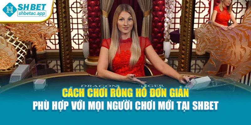 Cách chơi Rồng Hổ đơn giản – Phù hợp với mọi người chơi mới tại Shbet