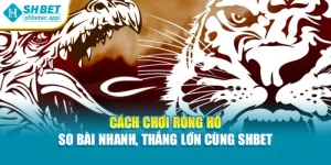 Cách Chơi Rồng Hổ – So Bài Nhanh, Thắng Lớn Cùng Shbet