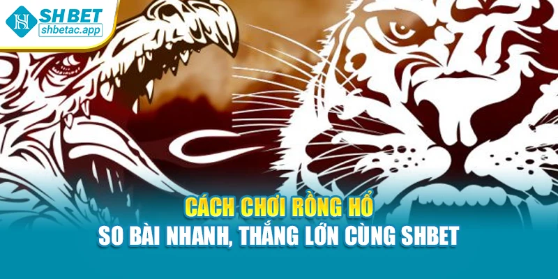 Cách Chơi Rồng Hổ – So Bài Nhanh, Thắng Lớn Cùng Shbet