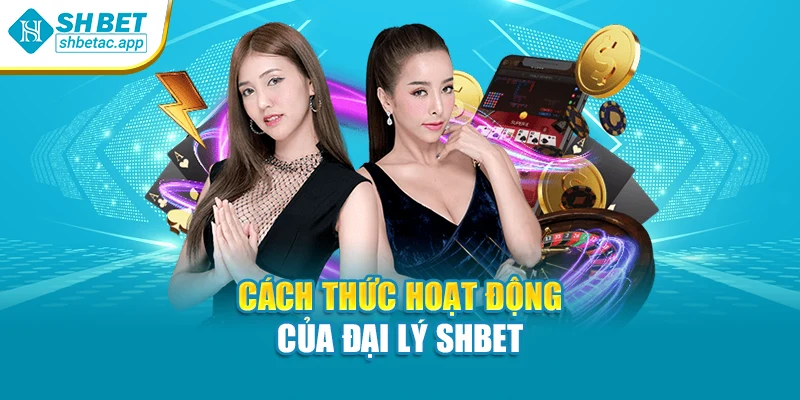 Cách thức hoạt động của đại lý SHBET