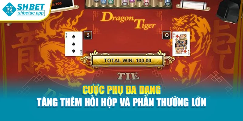 Cược phụ đa dạng – Tăng thêm hồi hộp và phần thưởng lớn