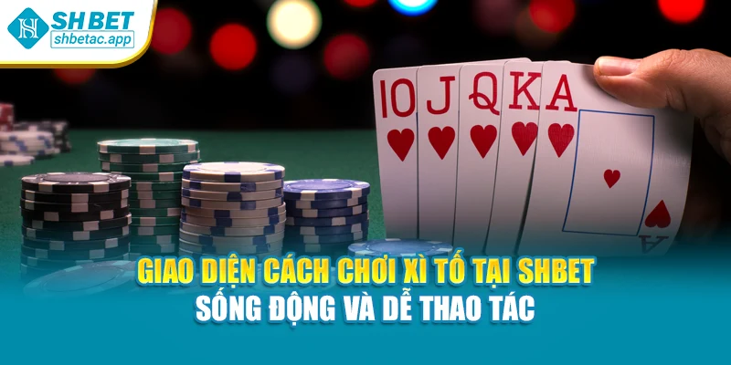 Giao diện cách chơi xì tố tại Shbet – sống động và dễ thao tác