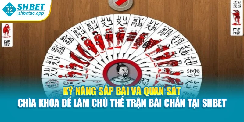 Kỹ năng sắp bài và quan sát – Chìa khóa để làm chủ thế trận bài chắn tại Shbet